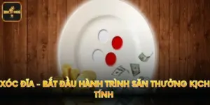 Xóc Đĩa - Bắt Đầu Hành Trình Săn Thưởng Kịch Tính 