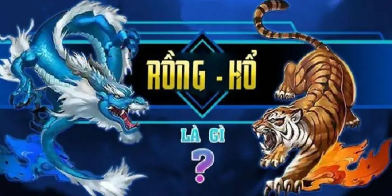 Bàn Rồng Hổ Xocdia88